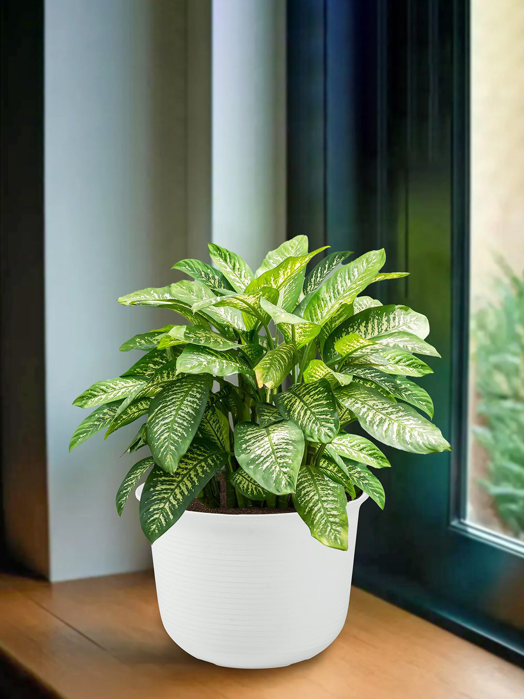 Kuber Industries White Sawera Flower Pot With Plate