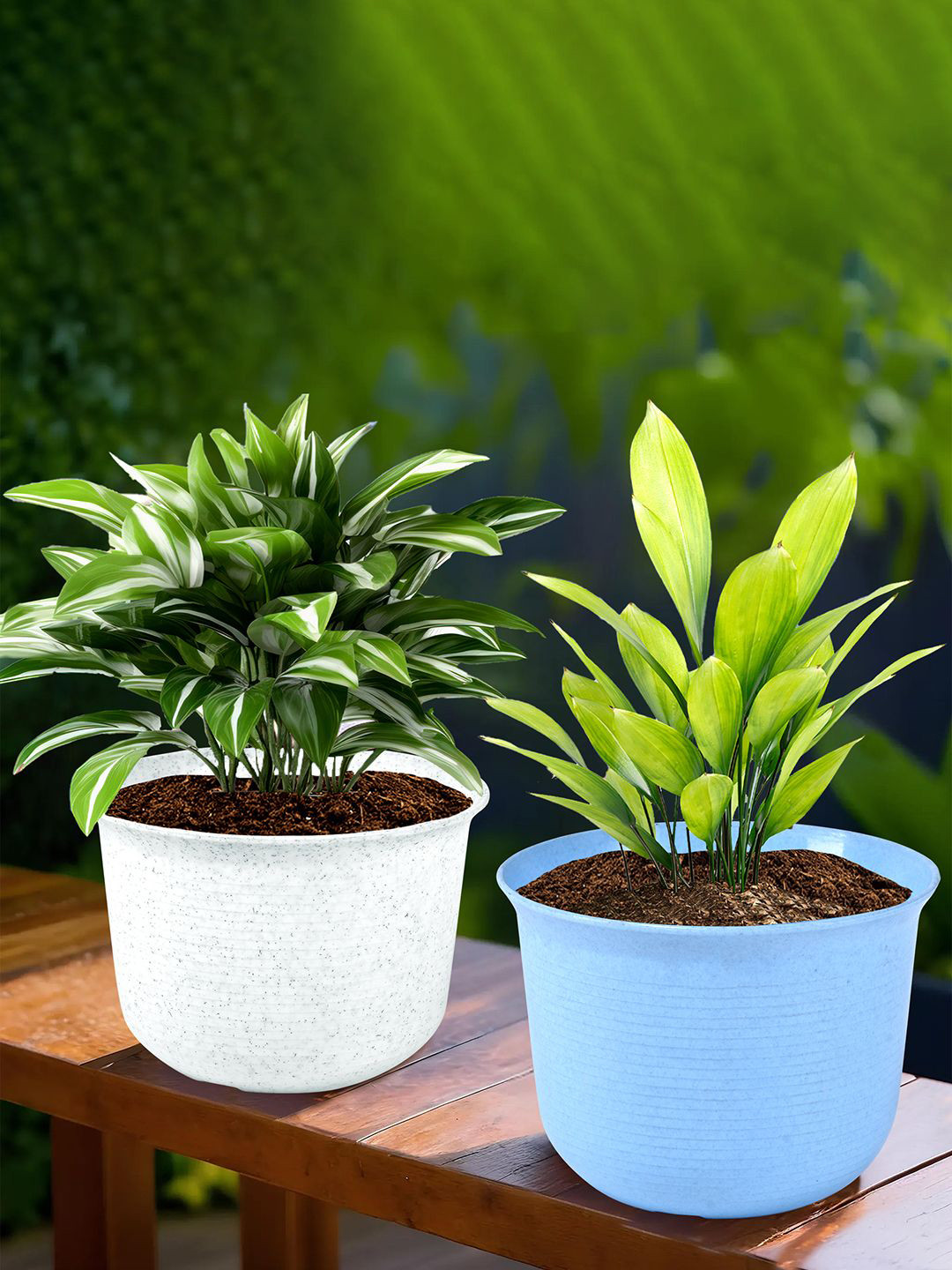 Kuber Industries Sawera Blue & White 2 Pieces Striped Planters With Plates