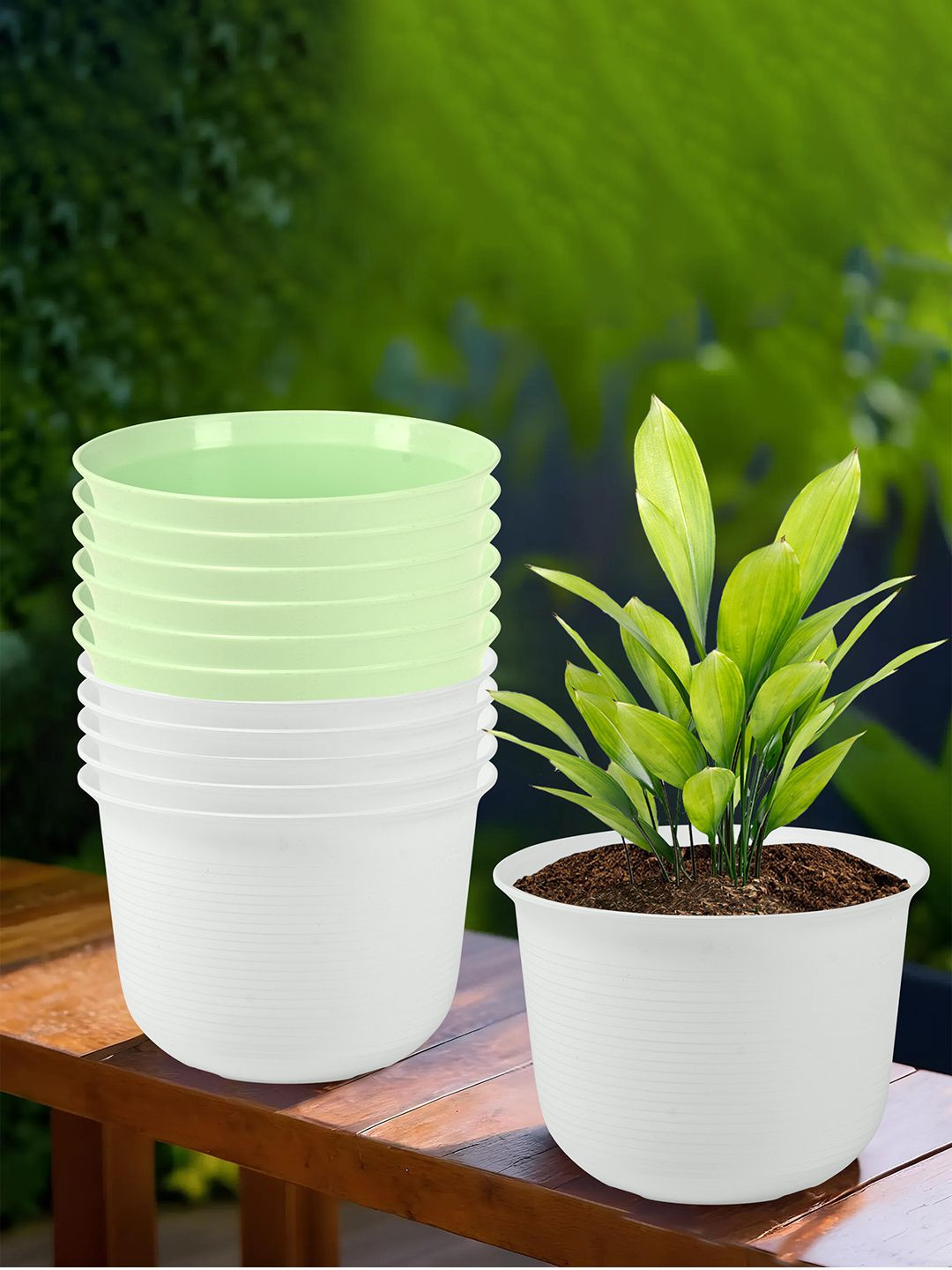 Kuber Industries White & Green 12 Pieces Planters With Plate