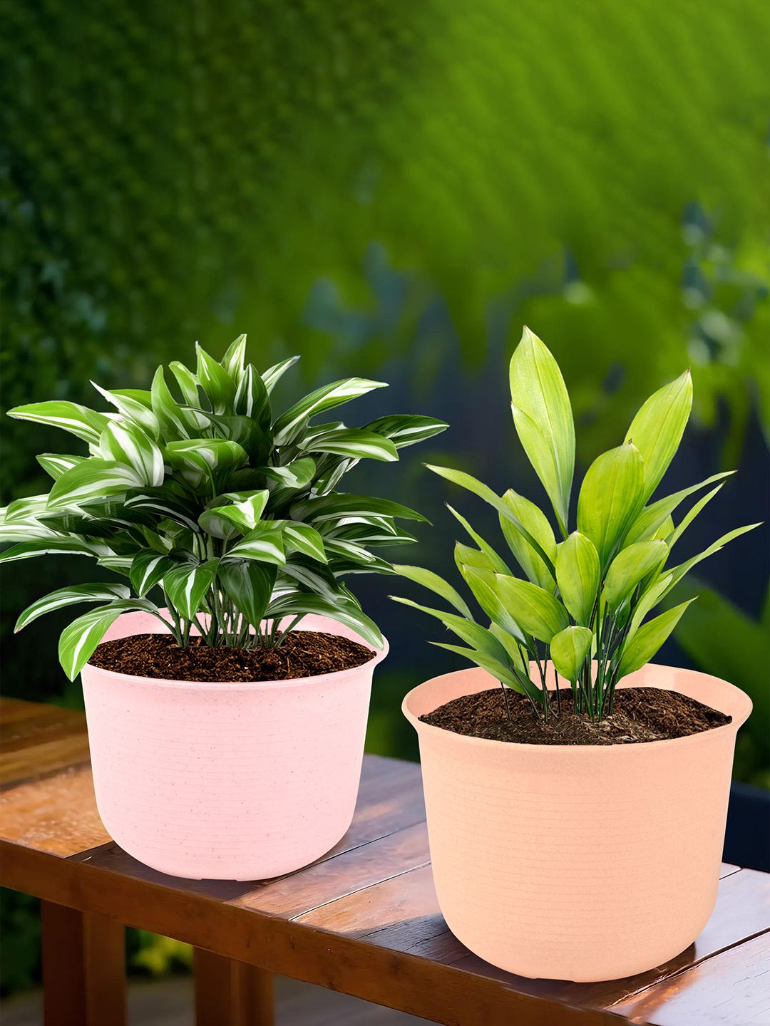 Kuber Industries Pink & Peach-Colored 2 Pieces Durable Sawera Planter with plates