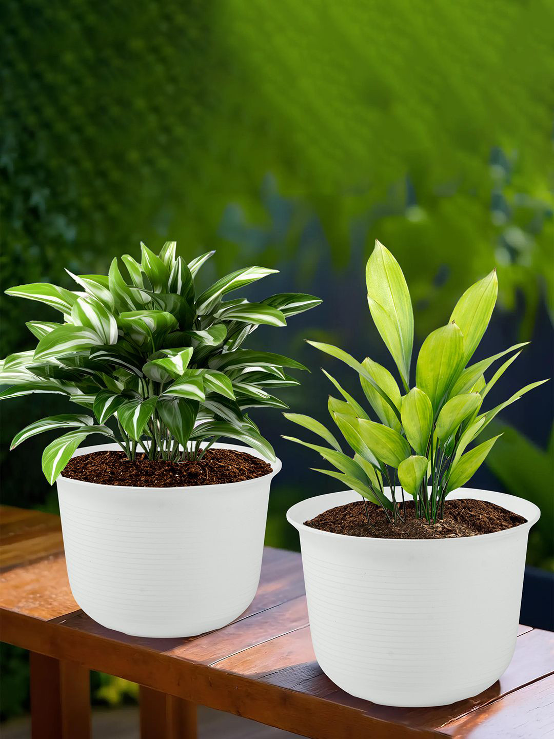 Kuber Industries White 2 Pieces Textured Sawera Flower Planters With Plates