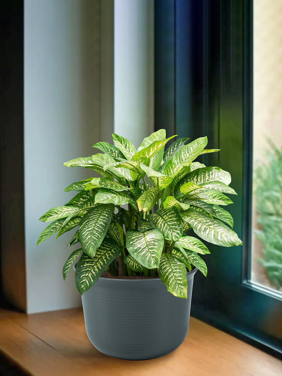 Kuber Industries Grey Planter With Plate