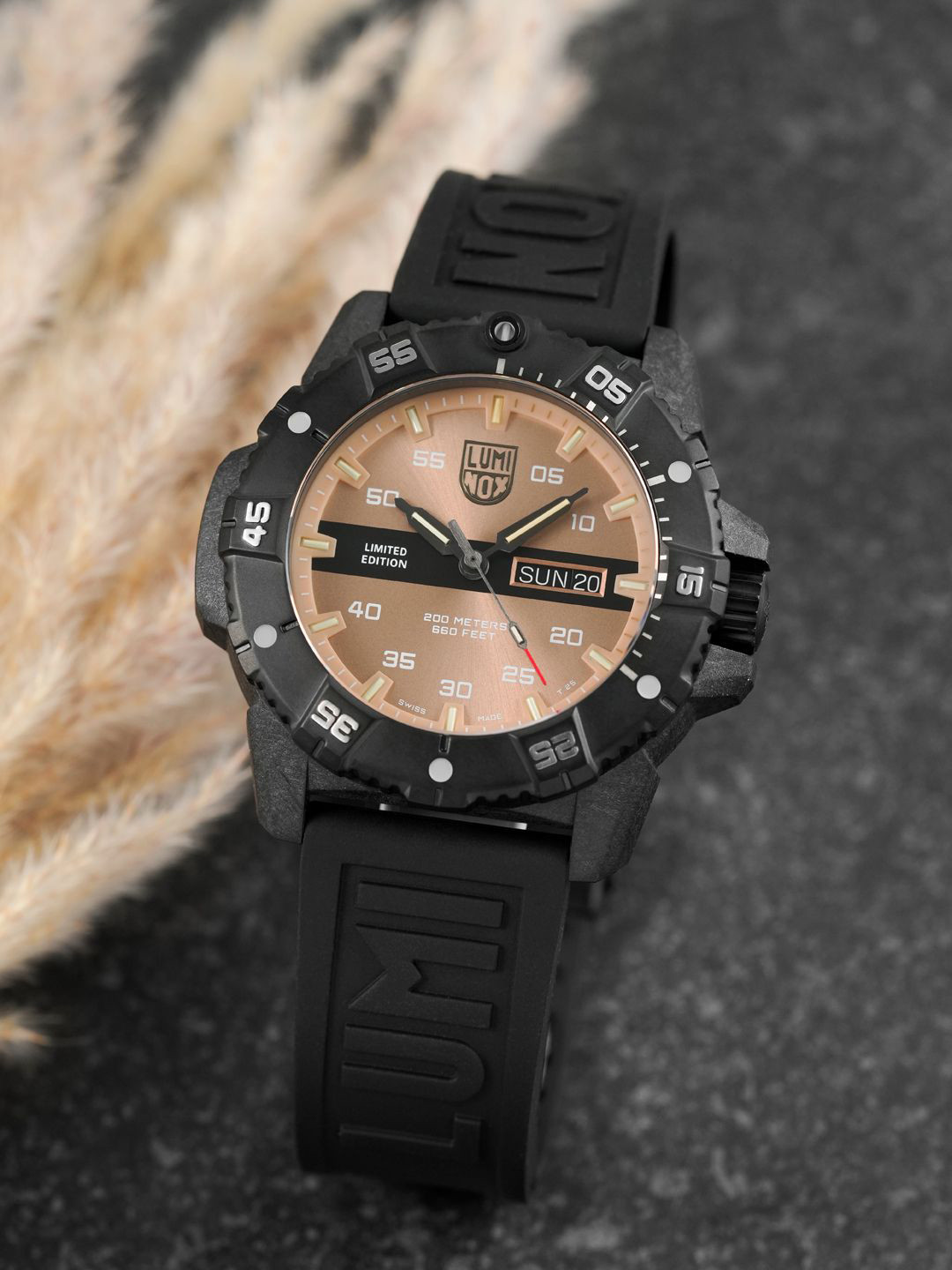 Luminox Men Dial & Bracelet Style Straps Analogue Multi Function Watch XS.3875.ETH.N