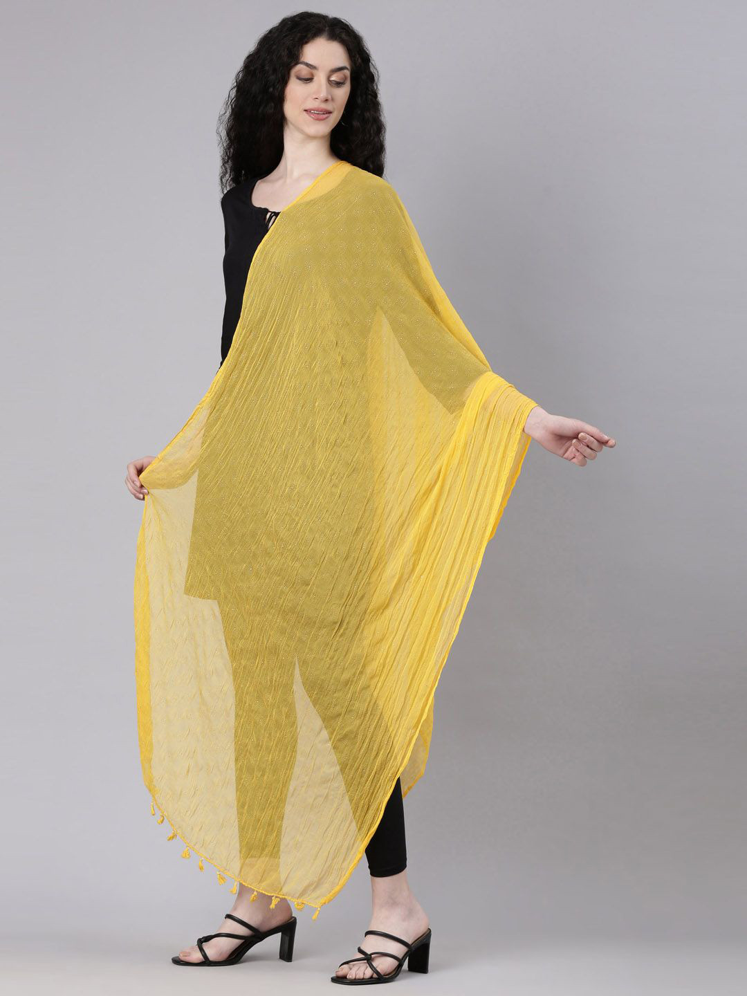 Souchii Tasselled Border Chiffon Dupatta
