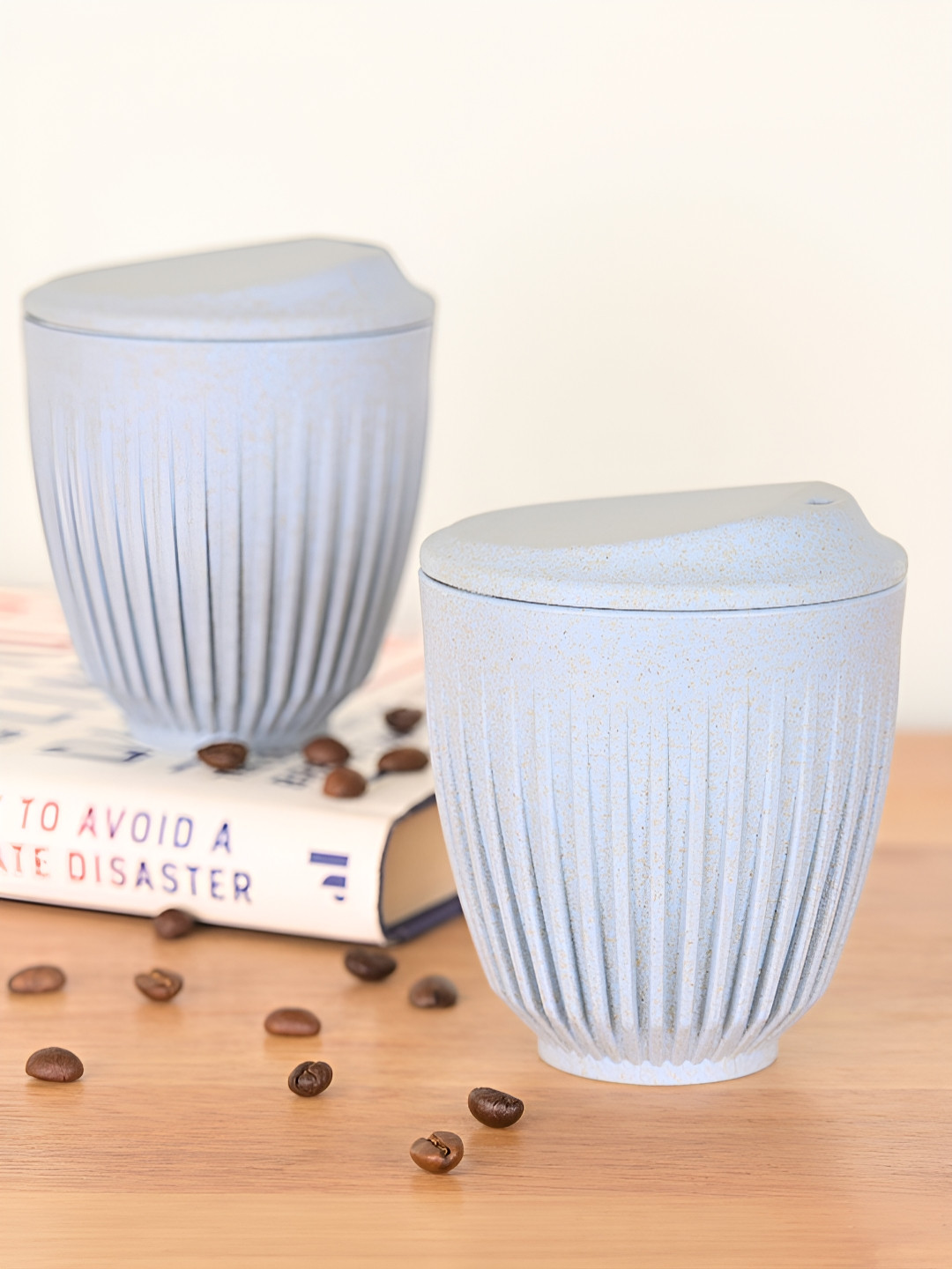 eha Blue Striped Plastic Dishwasher Safe 2 Piece Mugs-250ml