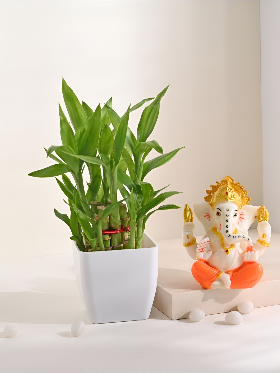 Floweraura Green & White Indoor Plants In Pot With Lord Ganesha Idol