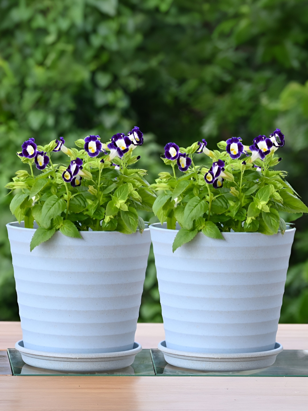 eha Blue 2 Pieces Planters With Buttom Trays