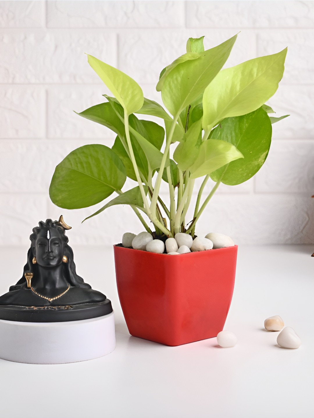 Floweraura Green & Red Indoor Plants In Pot With Adiyodi Idol