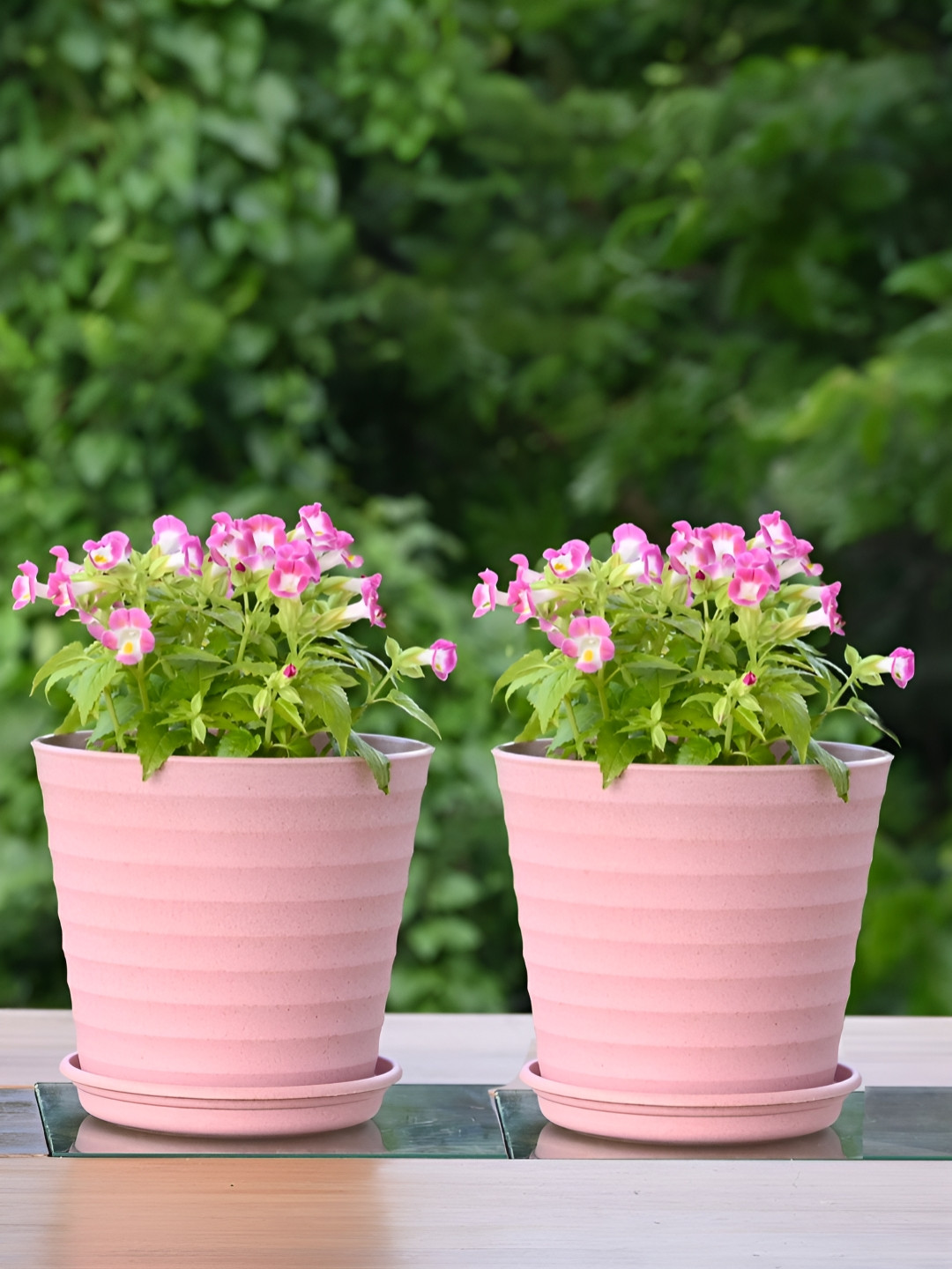eha Pink 2 Pieces Planters With Buttom Trays