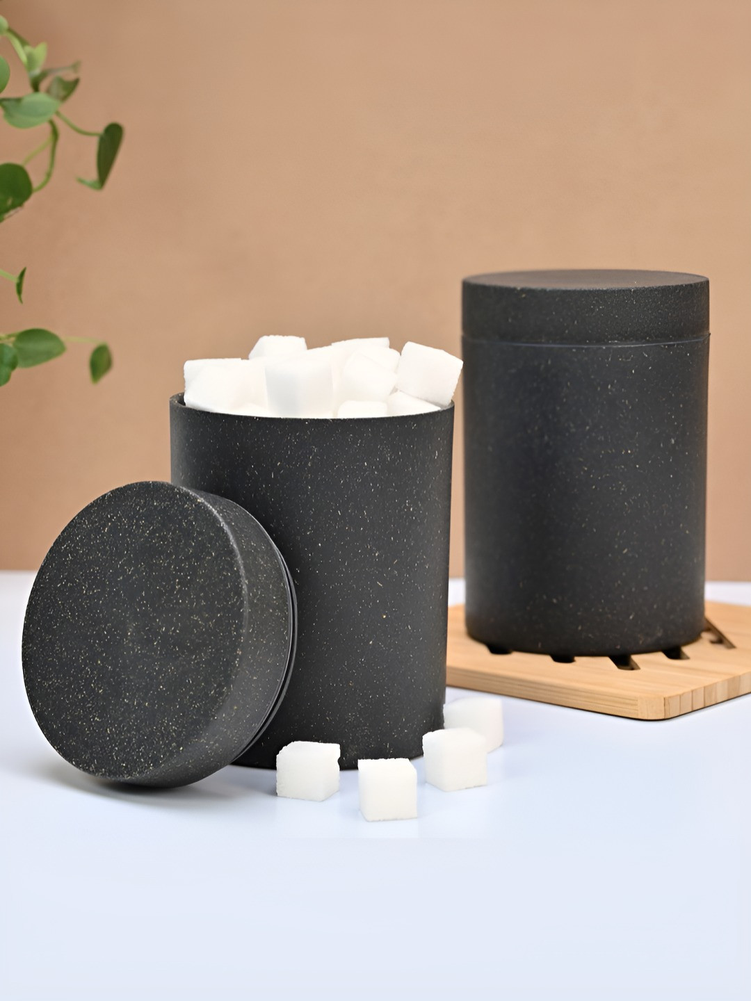 Eha Charcoal Plastic Easy To Clean 2 Piece Snap Canister-700ml