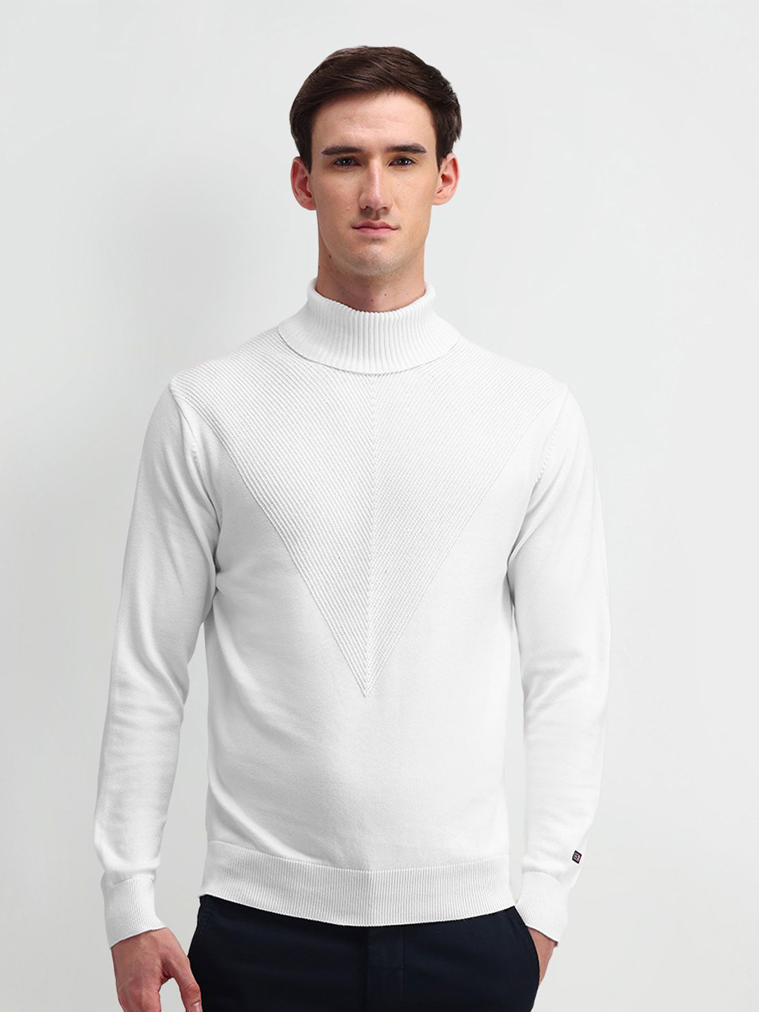 Arrow Sport Men Self Design Long Sleeves Turtle Neck Pullover Sweaters
