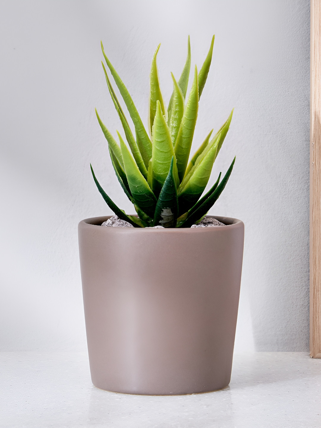 Home Centre Brown Succulent Artificial Plant With Pot