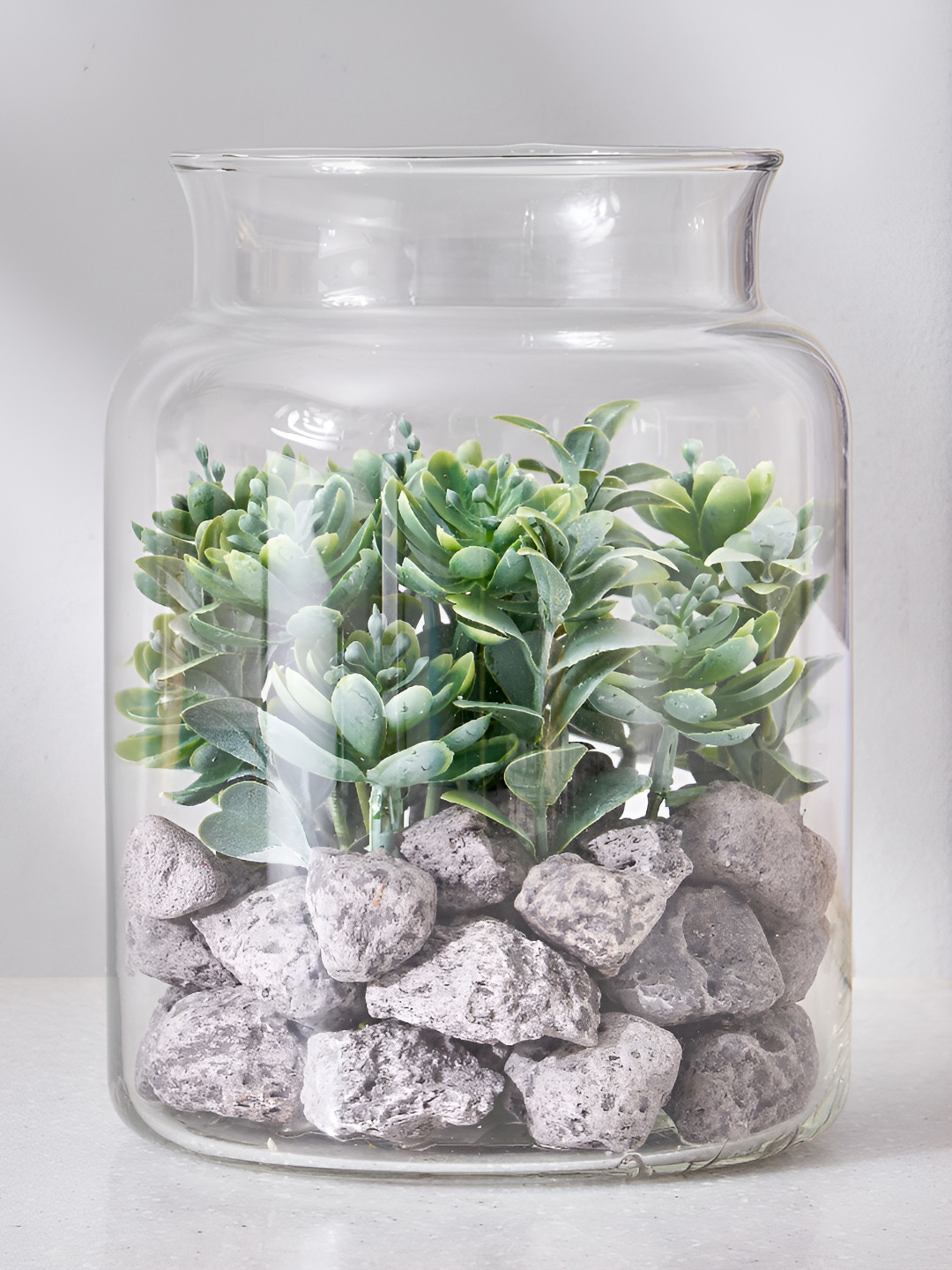Home Centre Corsica Transparent Succulent in Glass Jar
