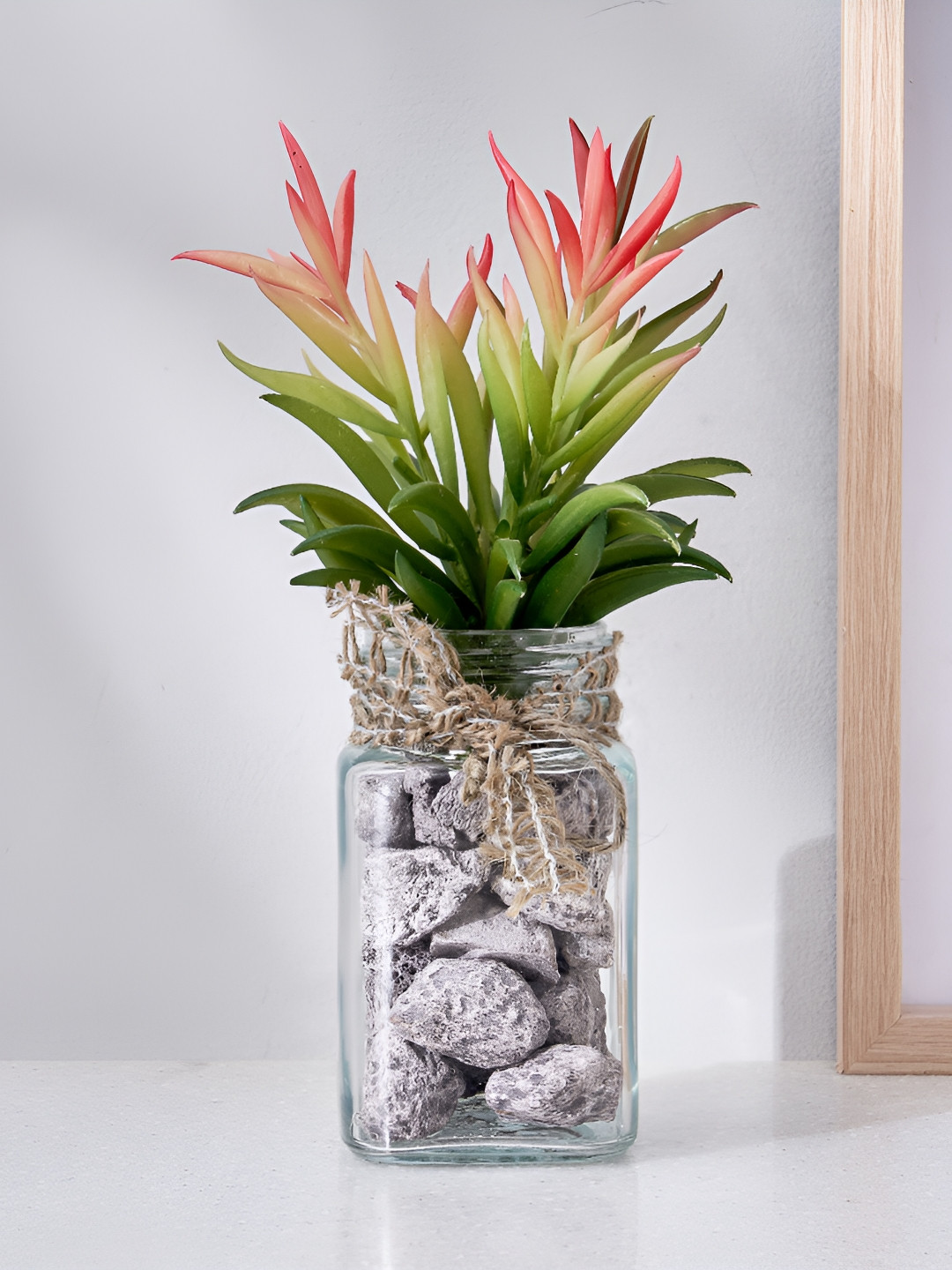 Home Centre Corsica Transparent Artificial Succulent in Glass Jar