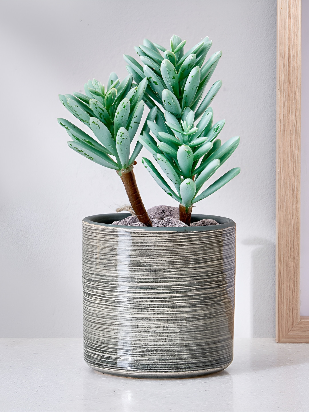 Home Centre Corsica Grey Succulent Artificial Plant With Ceramic Pot