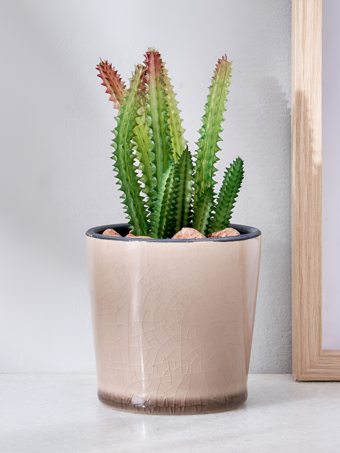 Home Centre Corsica Pink Crocus Aloe Vera Artificial Plant With Ceramic Pot