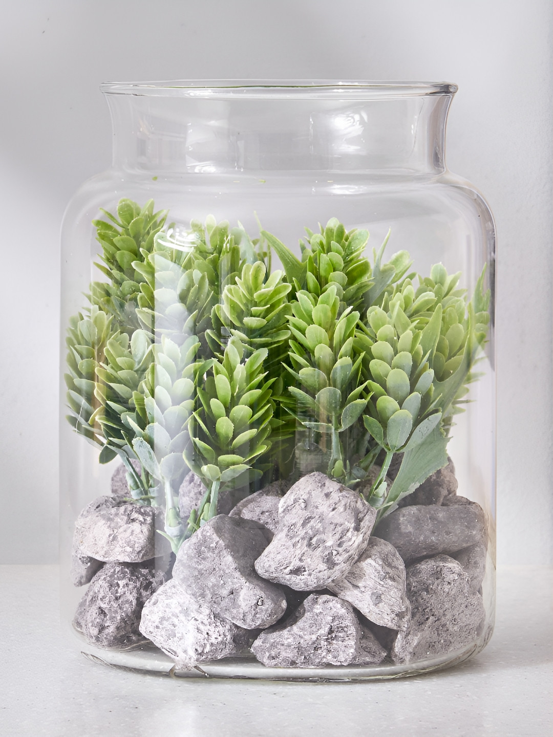 Home Centre Corsica Transparent Succulent Artificial Plant With Glass Pot