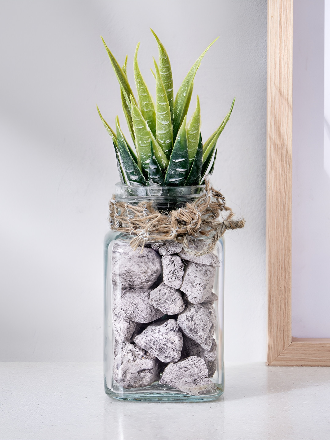Home Centre Transparent Artificial Plant With Pot