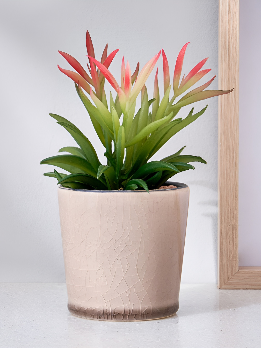 Home Centre Corsica Pink Crocus Bonsai Artificial Plant With Ceramic Pot