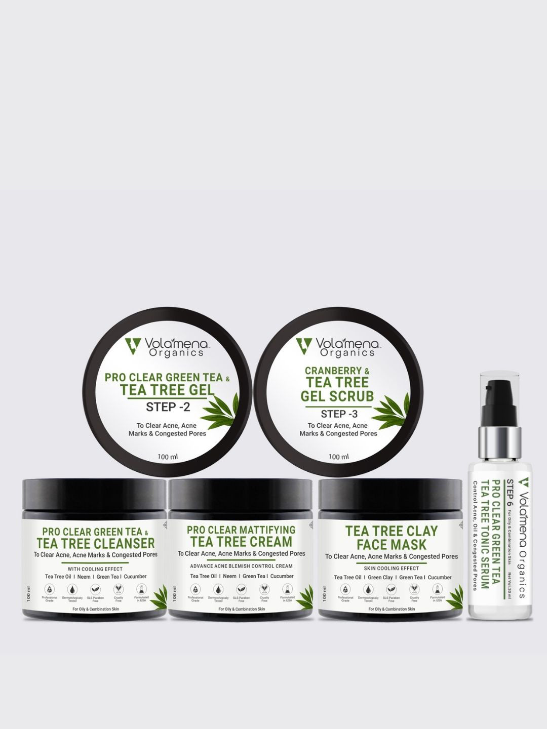 Volamena 6-Step Pro Clear Green Tea & Tea Tree Facial Kit