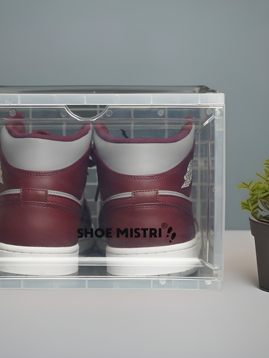 Shoe Mistri Transparent Foldable Shoe Rack