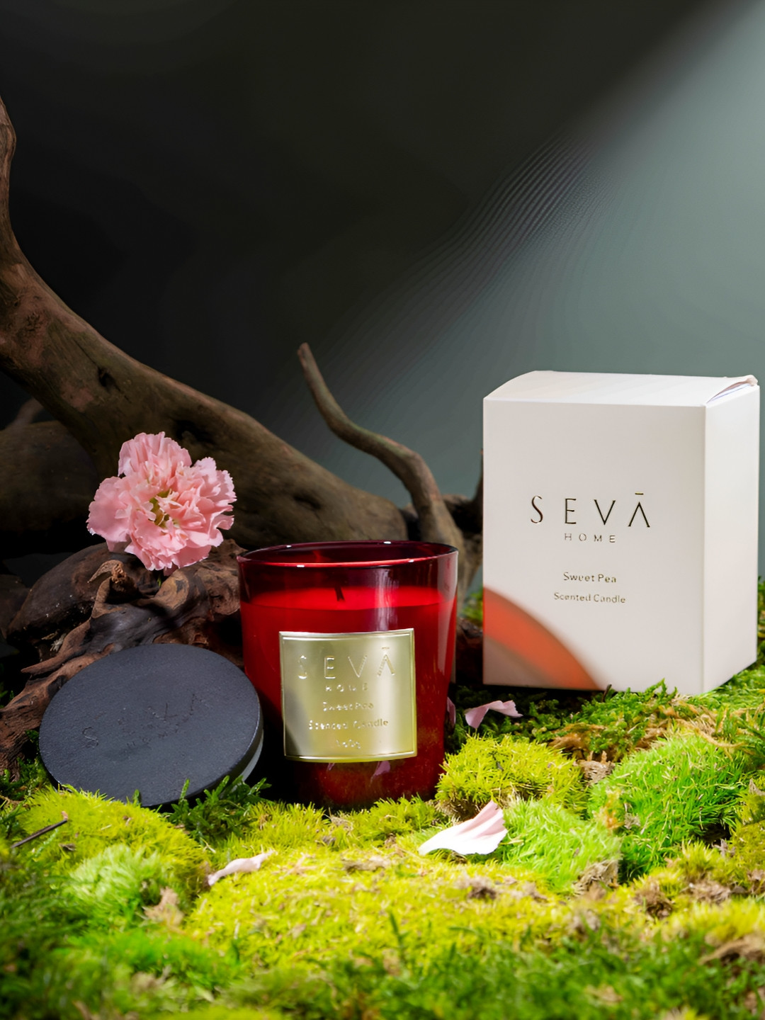 Seva Home Sweet Pea Signature Candle Scented 1 Wick Solid Geometric Regular Jar Candles