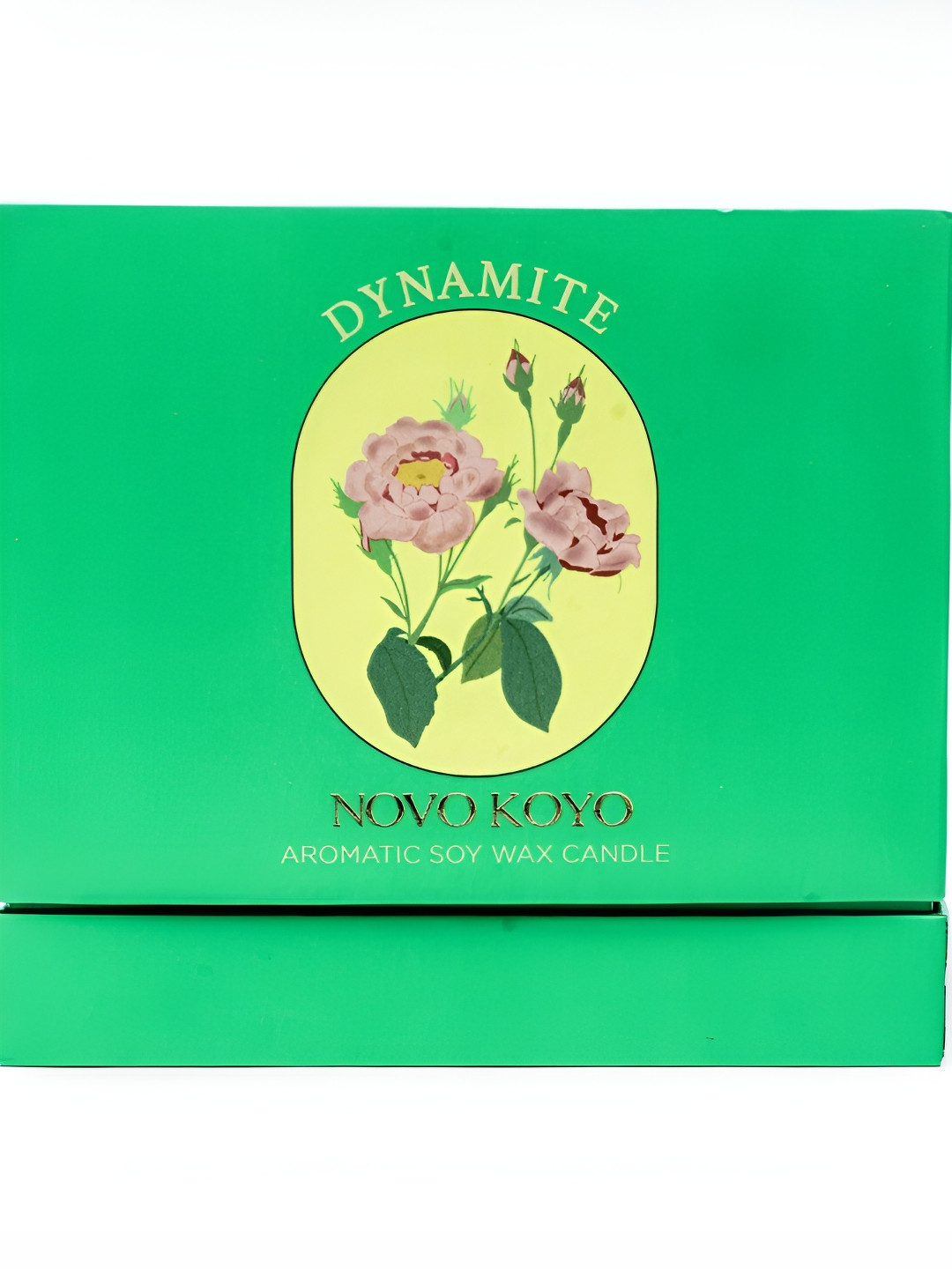 NOVO KOYO Dynamite Scented 2 Wick Scented Abstract Geometric Regular Jar Candles