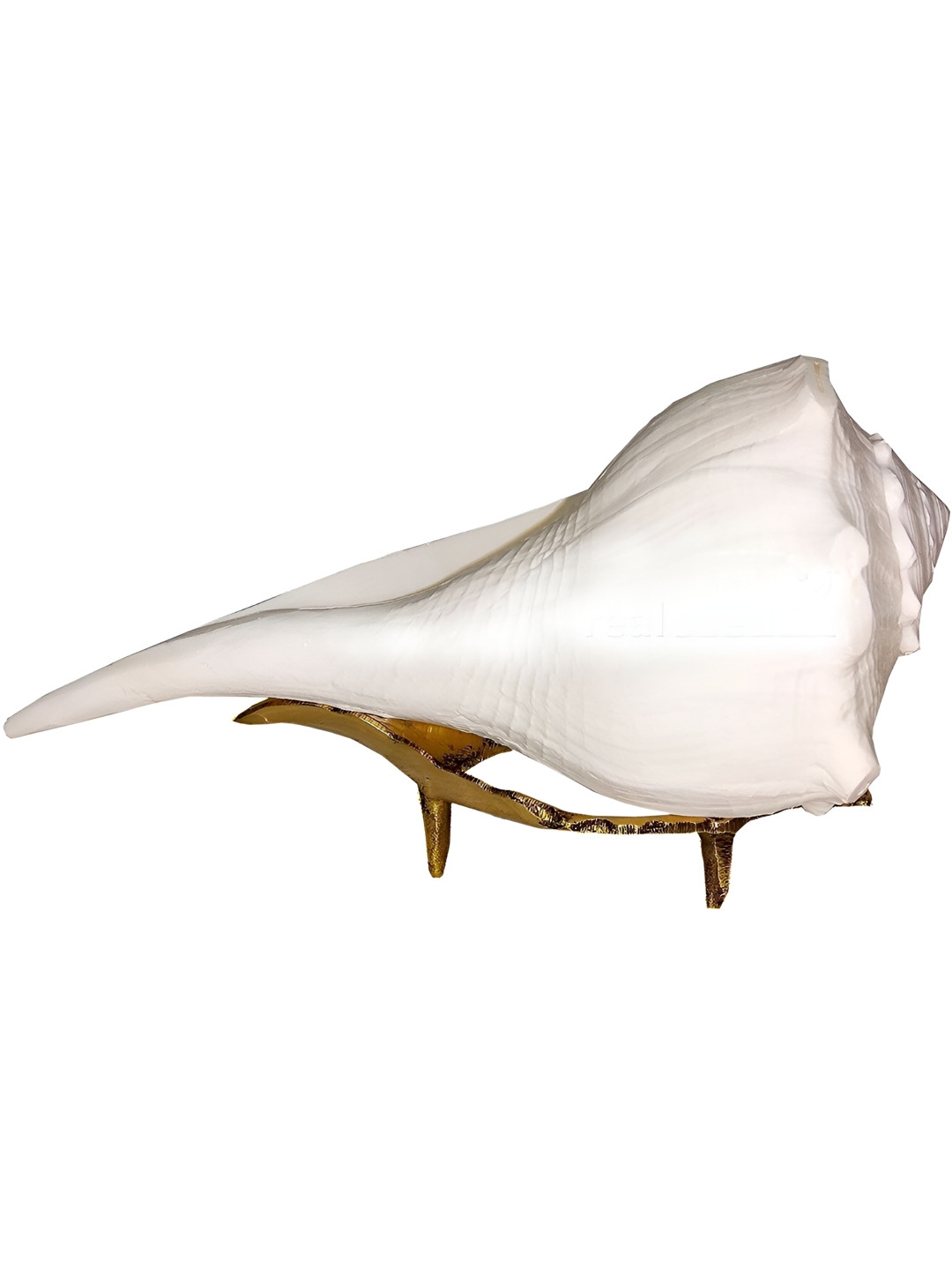 Navyaksh Dakshinavarti Shankh White Polyresin Glossy Prayer Room Set of 2 Small Showpieces - 3.1 Inches