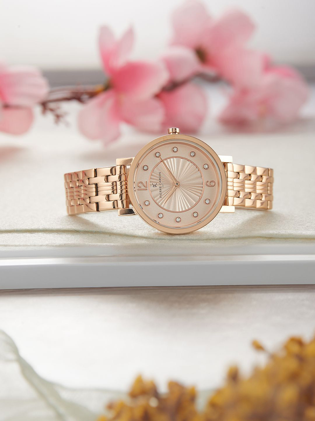 pierre cardin Women Dial & Stainless Steel Straps Analogue Watch CCM.0544