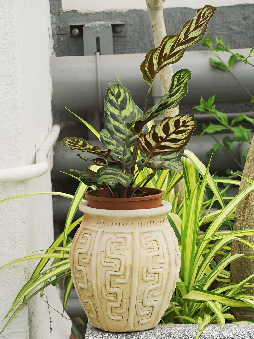 Swadeh Geo Linea Clay Planter