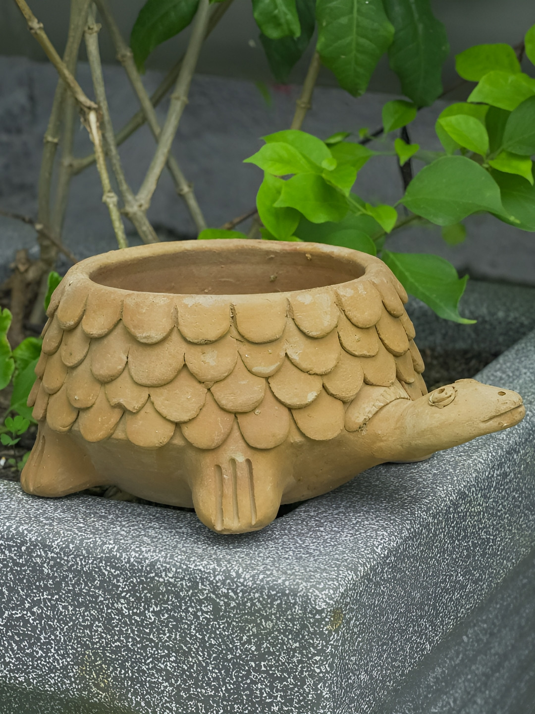 Swadeh Terra Tortoise Clay Planter