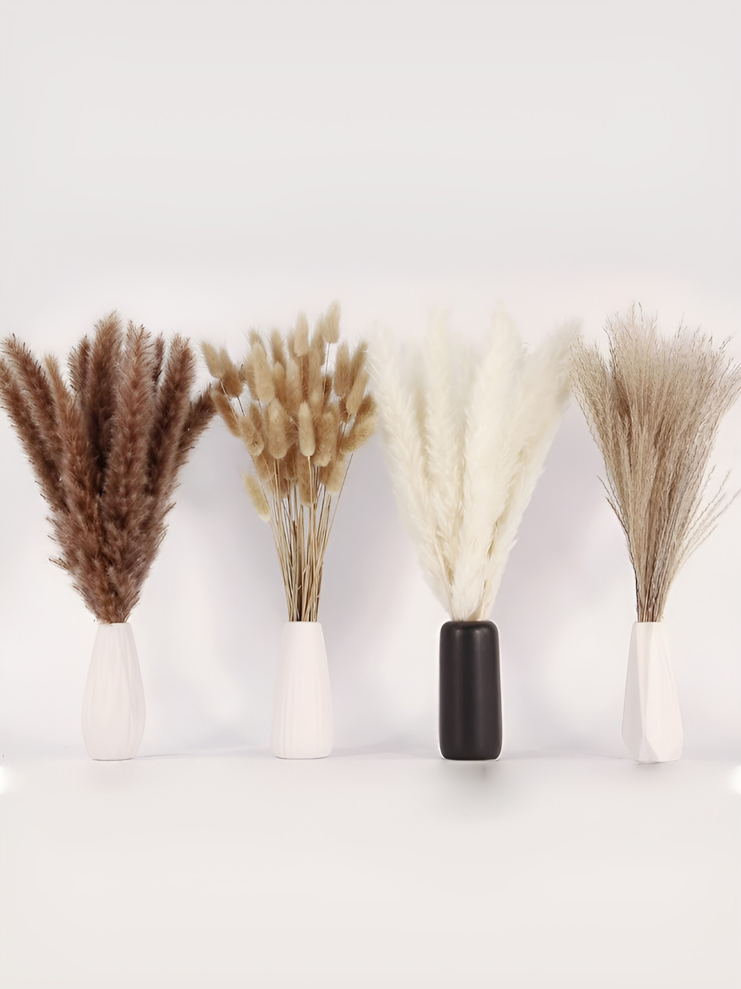 TIED RIBBONS Beige and White 100 Pcs Pampas Grass, Reed, Bunny Tails, White & Natural