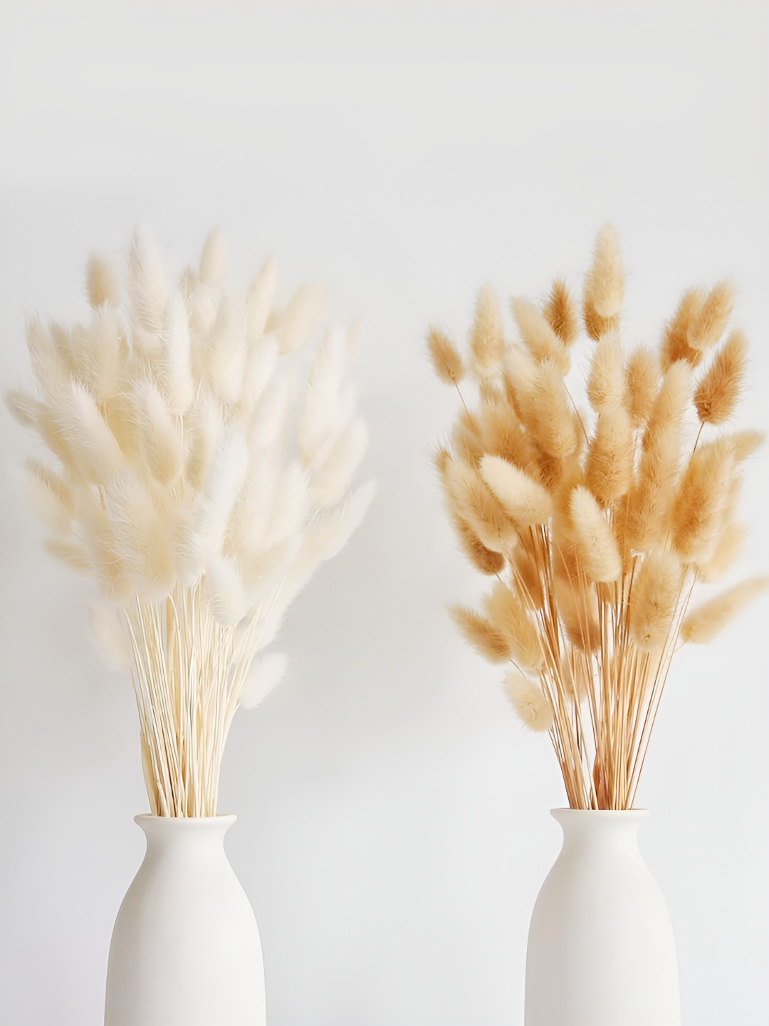 TIED RIBBONS Beige and White 100 Pcs Pampas Bunny Tails Dried Stem for Corner Decoration