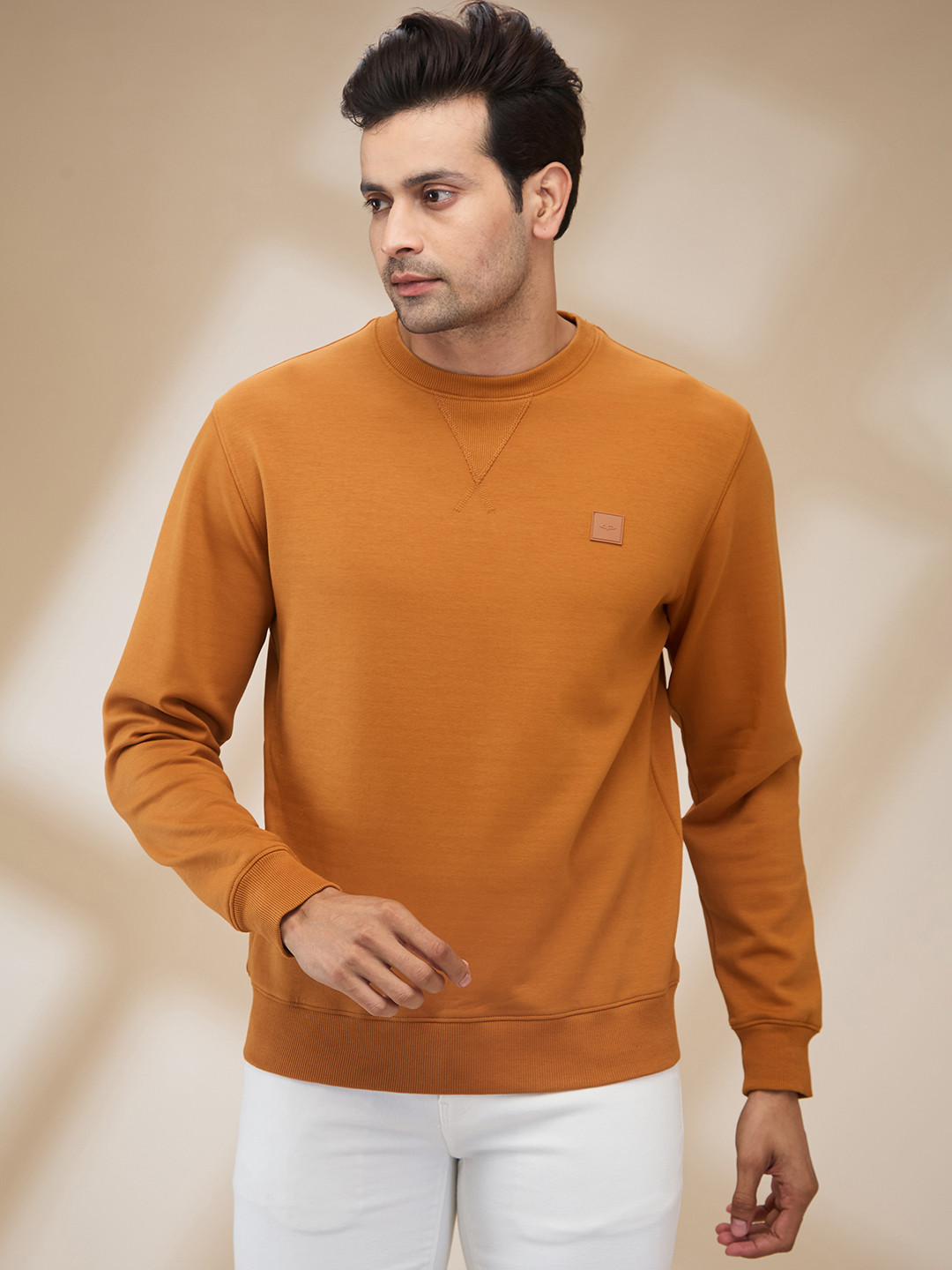ColorPlus Men Solid Pullover Sweatshirt