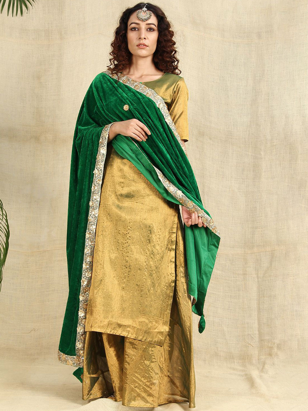 SHADES OF FAASHION Floral Embroidered Velvet Shawl