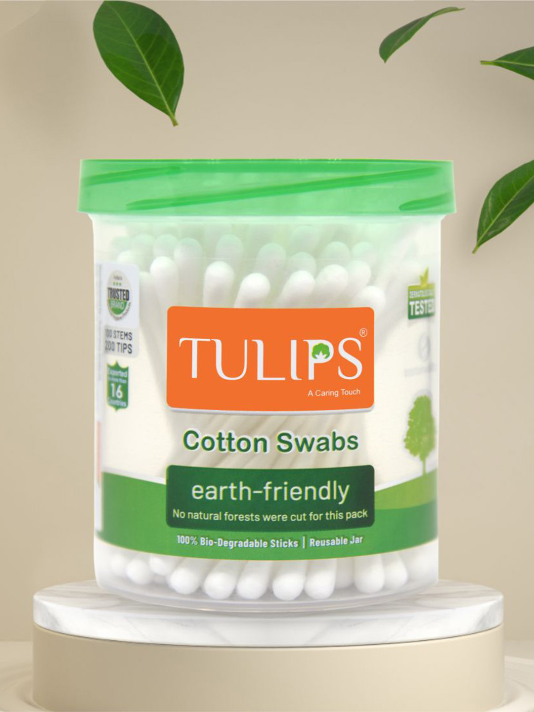 TULIPS Set Of 6 Paper Stick Cotton Ear Buds - 100 Sticks Each