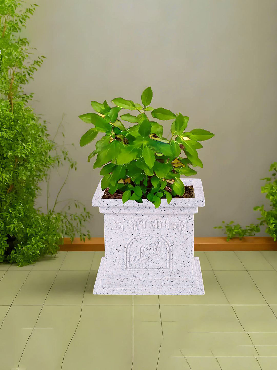 Kuber Industries White 3 Pieces Tulsi Mancha Gamla Square Planters