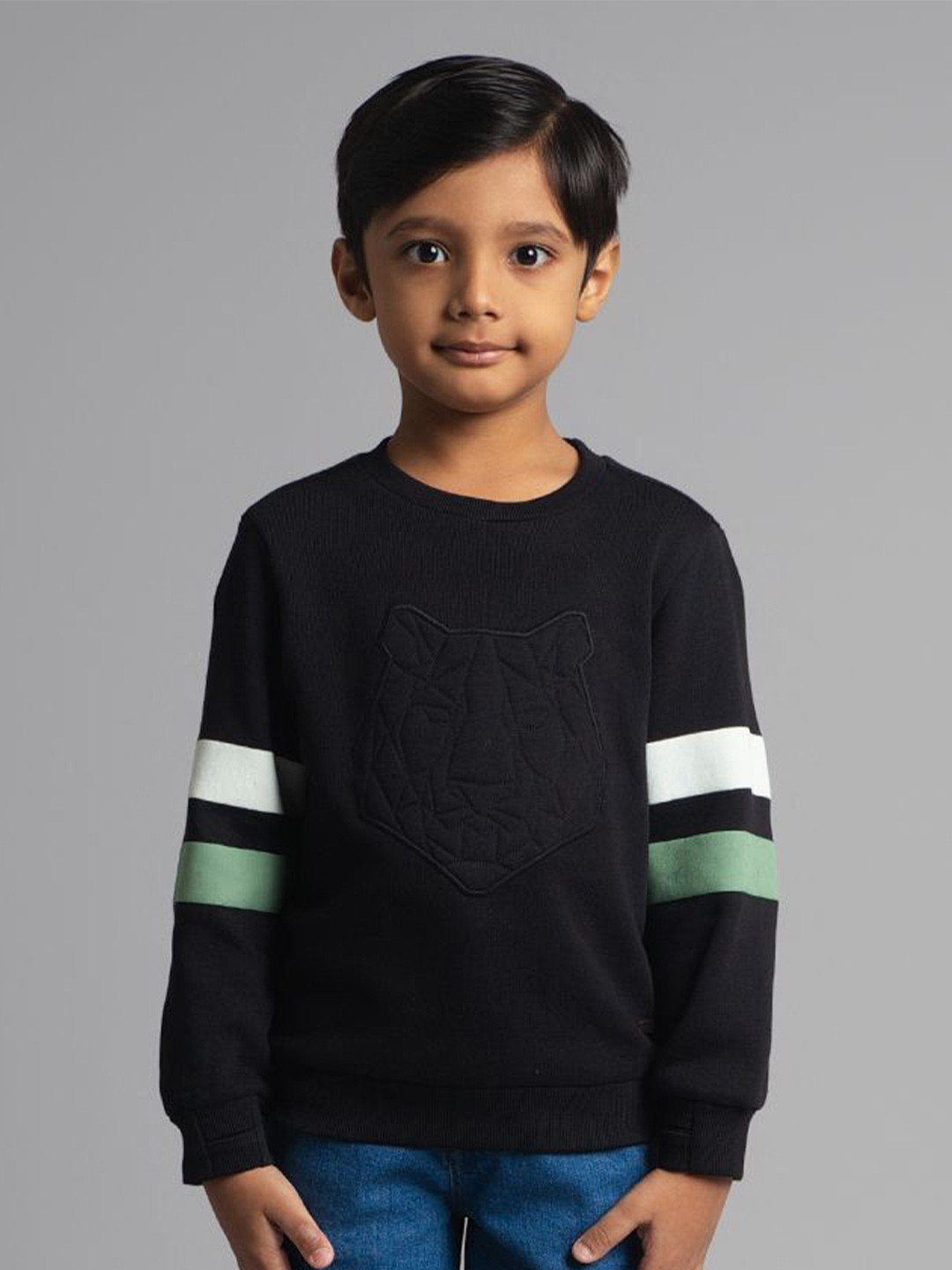 Ed-a-Mamma Boys Solid Embroidered Cotton Looper Pullover Sweatshirt