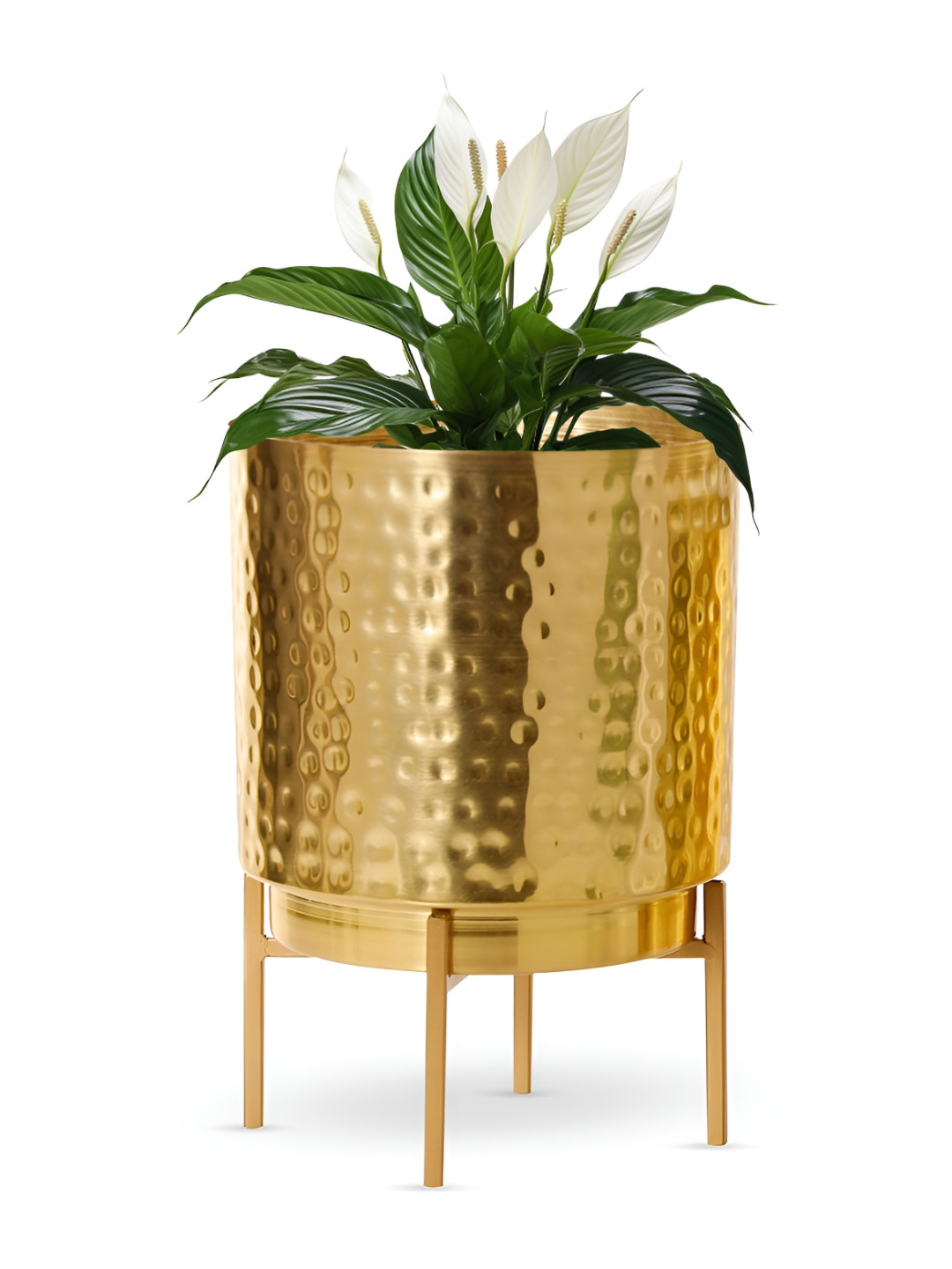 HomeShastra Gold-Toned Textured  Planter With Holder