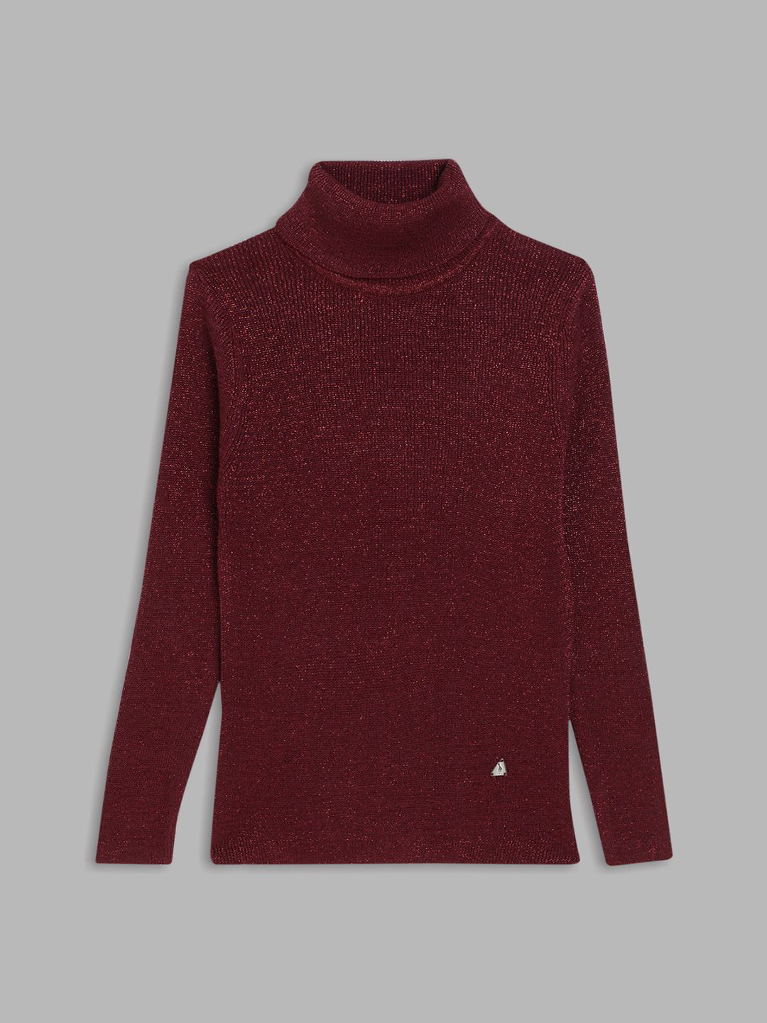 Blue Giraffe Girls Pullover Sweater