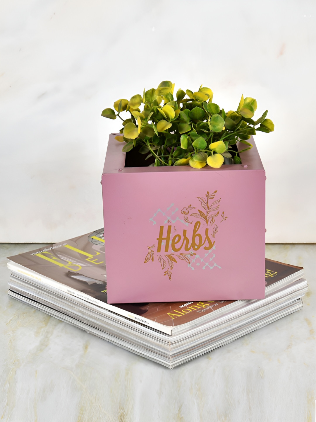 Living With Elan Gingham & Blooms Mauve & Gold-Toned Typography Printed  Herb Planter