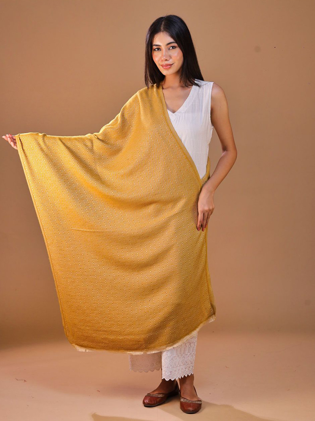 SWI Stylish Women Woven Design Fringed Ombre Stole