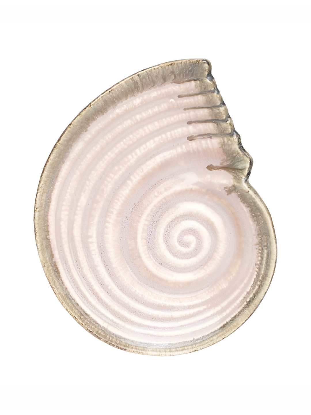 AMALAFIEE CERAMICS White & Green Textured Ceramic Microwave Food Platter