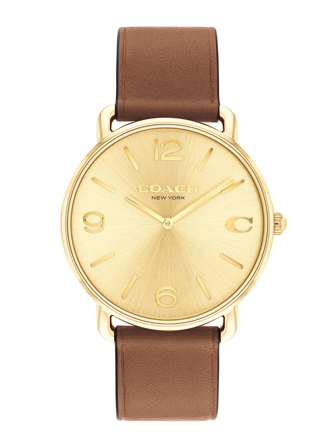 Coach Men Elliot Dial & Leather Straps Analogue Watch 14602646