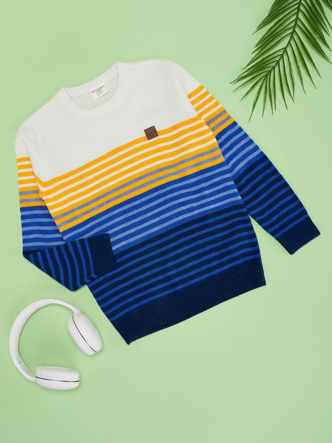 Pantaloons Junior Boys Colourblocked Pullover