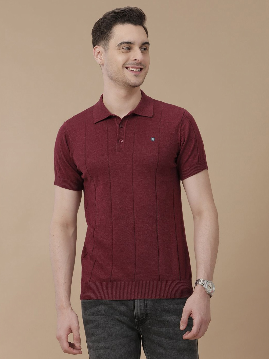 Linen Club Men Maroon Striped Short Sleeves Polo Collar Linen Blend Slim Fit T-shirt