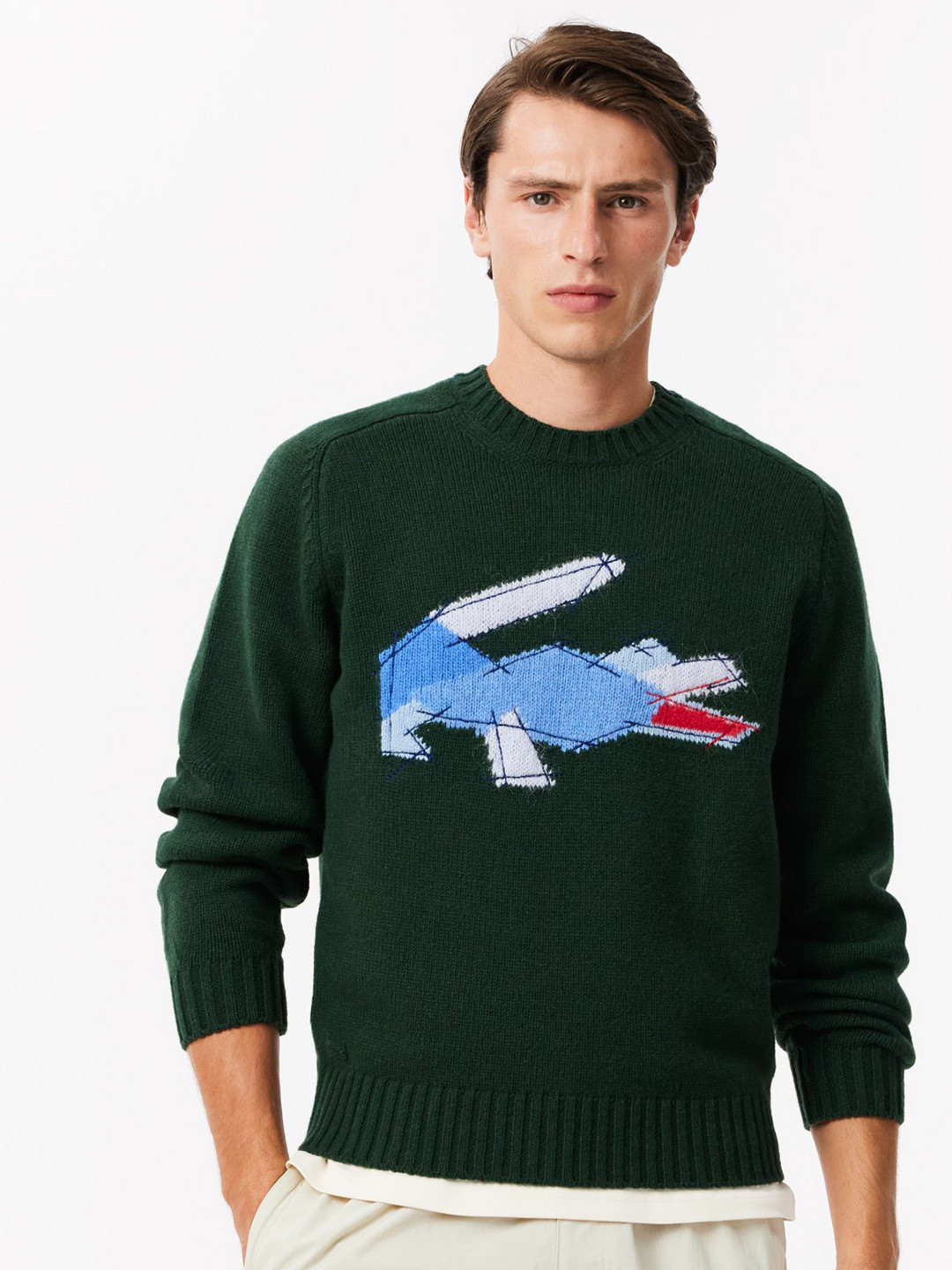 Lacoste Men Woollen Pullover