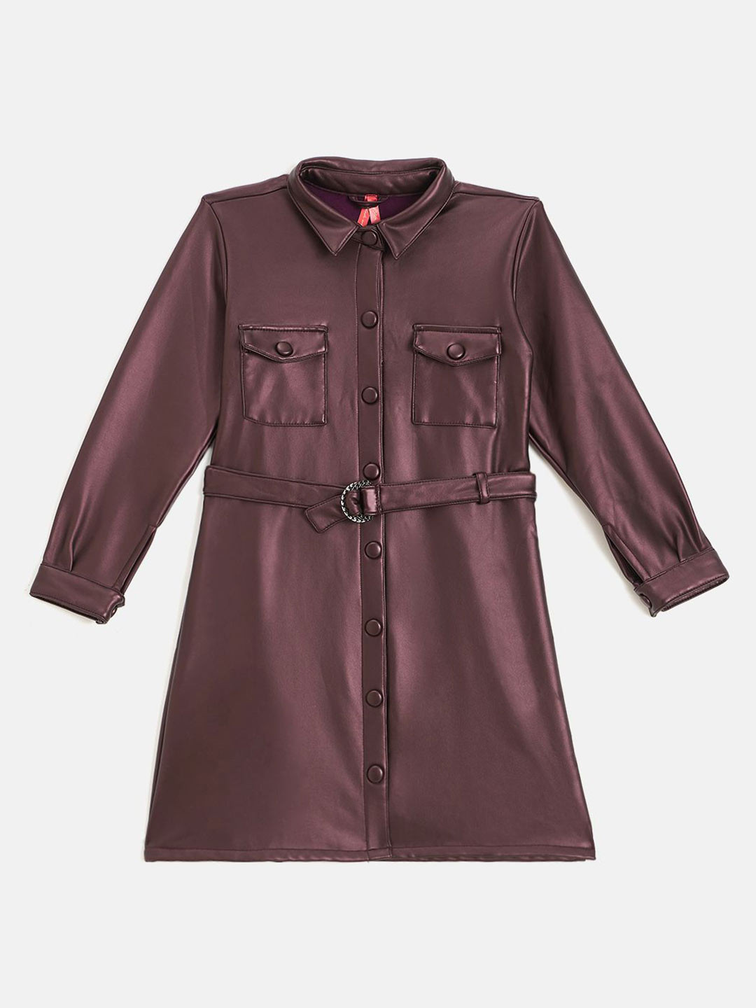 Blue Giraffe Shirt Collar A-Line Dress