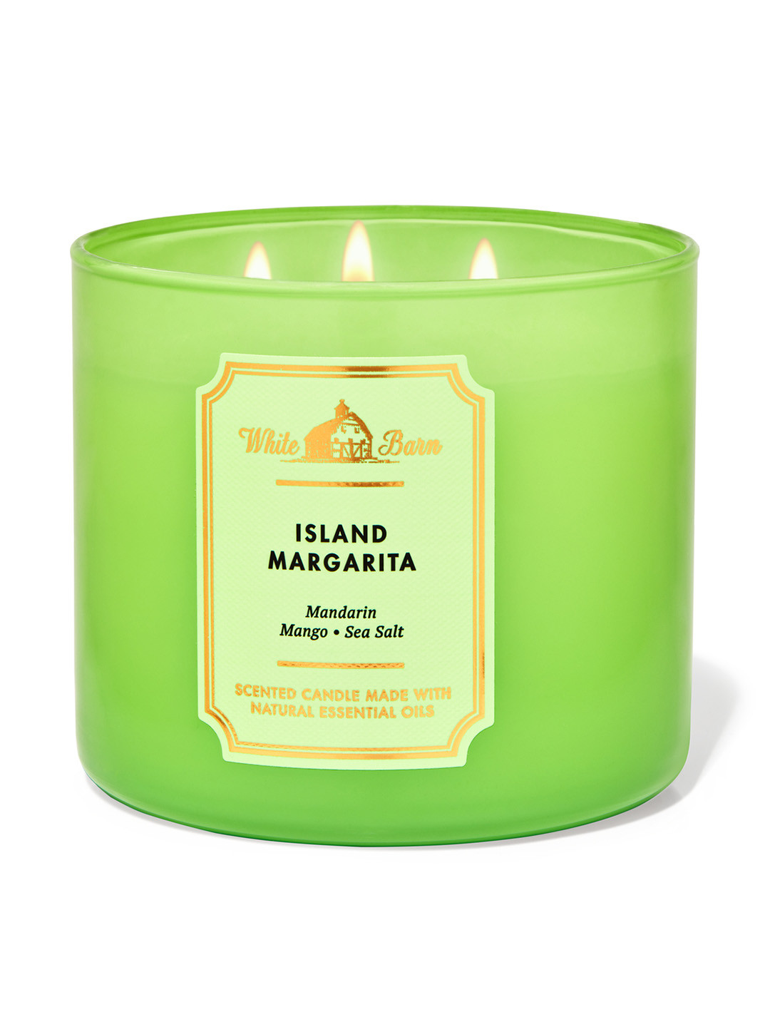 Bath & Body Works Island Margarita 3 Wick Mandarin, Mango and Sea Salt Solid Jar Candles