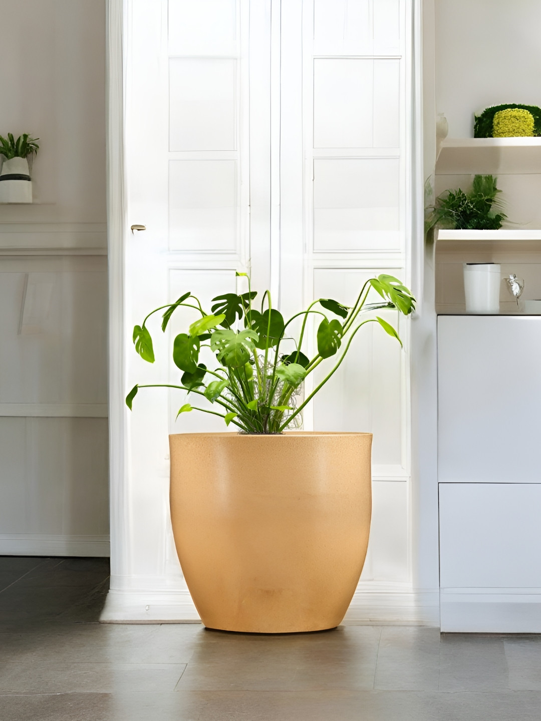 Go Hooked Decorative Planter & Indoor Outdoor  Flower Pot Pluto 17